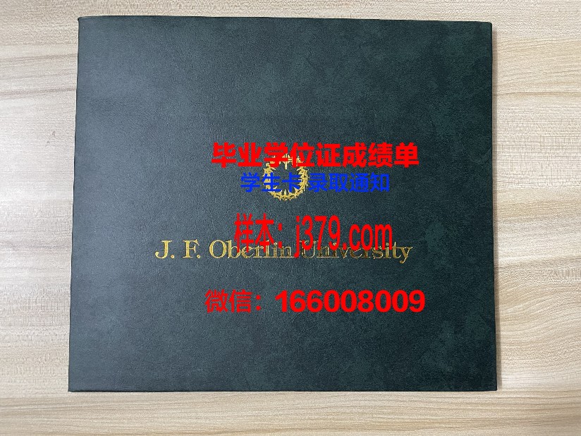 雷根斯堡大学拿不了毕业证(雷根斯堡大学怎么样)