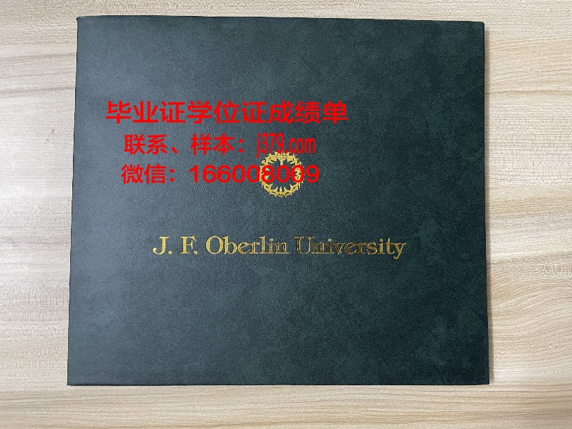 维斯马应用技术大学毕业证高清图(维斯玛大学)