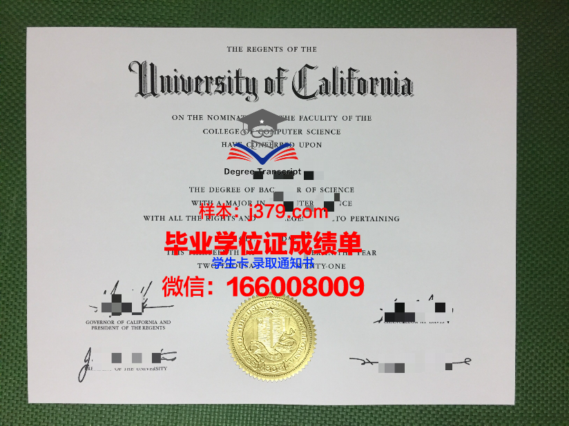 雅西国立艺术大学毕业证样式(雅西国立艺术大学毕业证样式是什么)