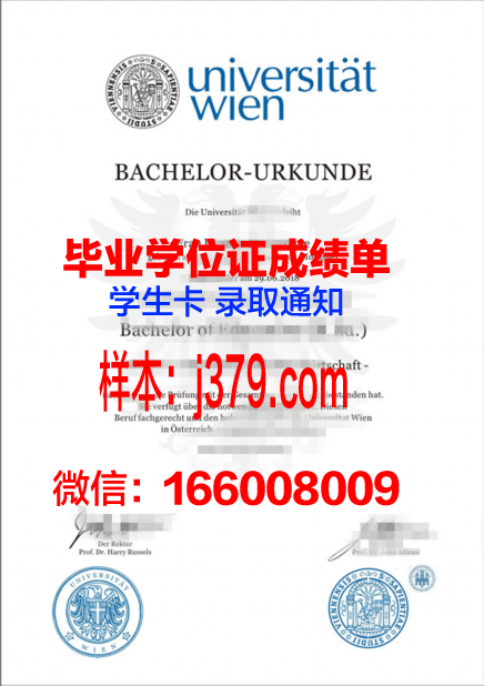维也纳大学毕业证图片:一张纸的重量与梦想的承载