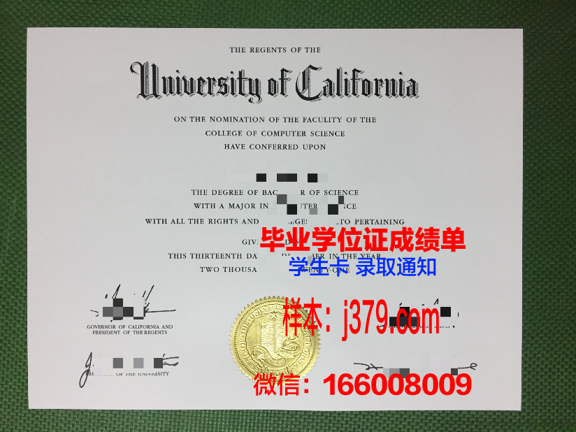 雷根斯堡应用技术大学毕业证图片(雷根斯堡住宅立面图)
