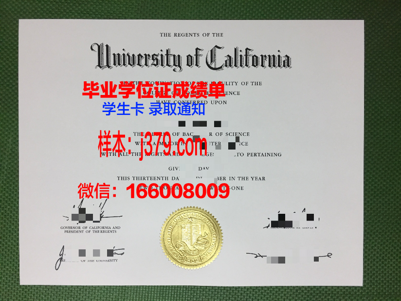 雅盖大毕业证：承载荣誉与梦想的文凭