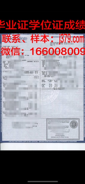 维大成绩单：维大人的骄傲与自豪
