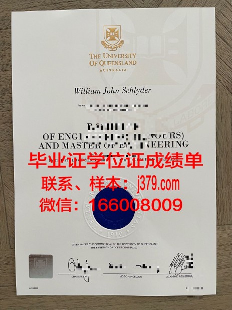 维斯马应用技术大学毕业证高清图(维斯玛大学)