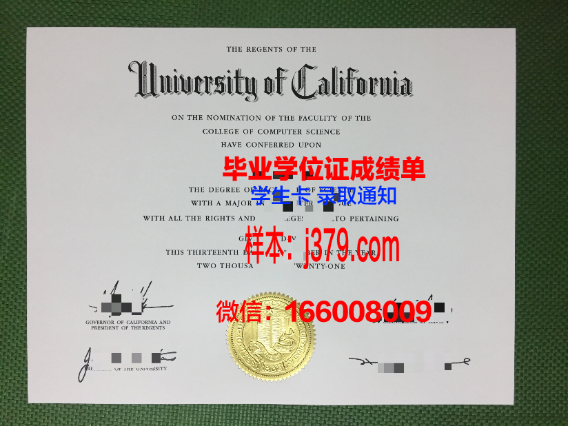纽黑文大学硕士毕业证：开启全球职业新篇章的钥匙