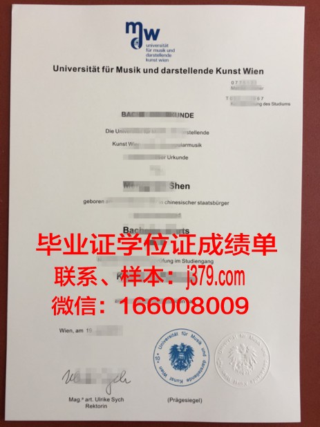 维也纳造型艺术学院毕业证书：一份独特的艺术荣誉