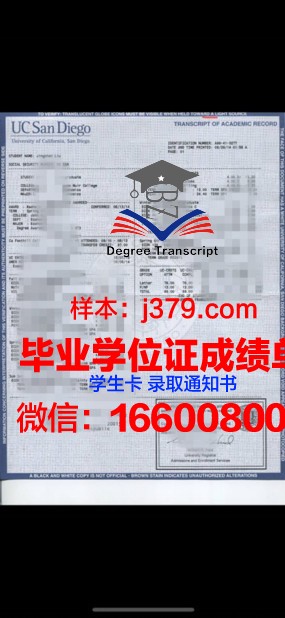 阿雷利亚诺大学成绩单：一份跨国教育的见证