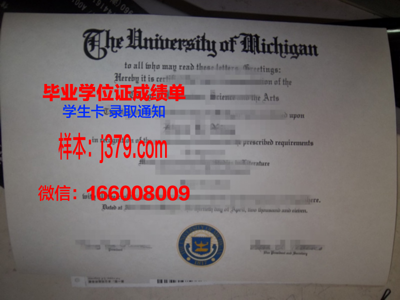 阿道夫大毕业证：一段历史的反思与警示
