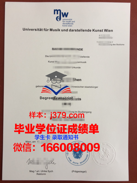 维也纳技术大学成绩单(维也纳大学v课堂)