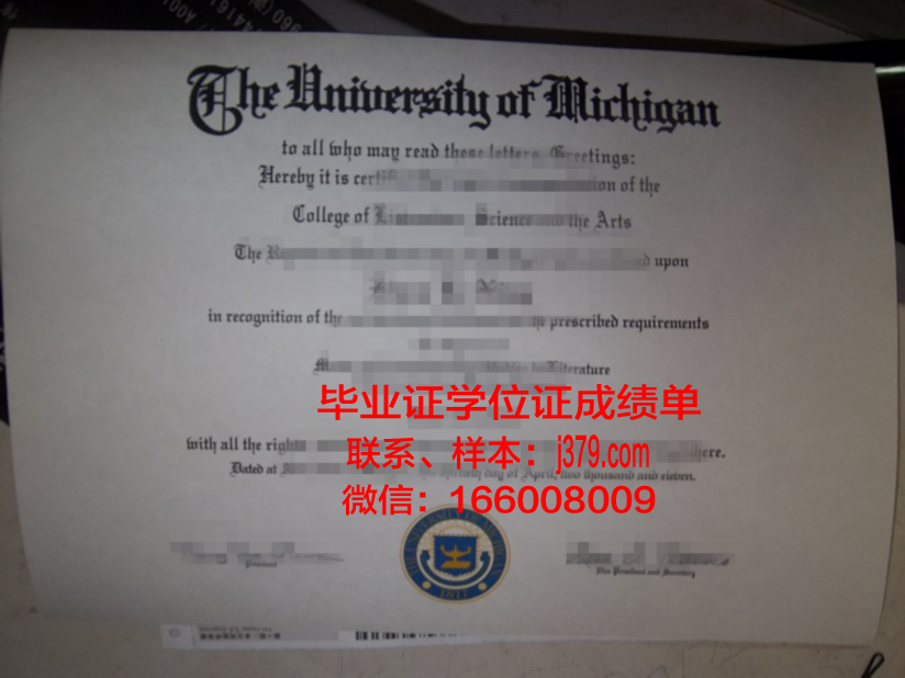 阿道夫·伊瓦涅斯大学毕业证：一张纸的重量