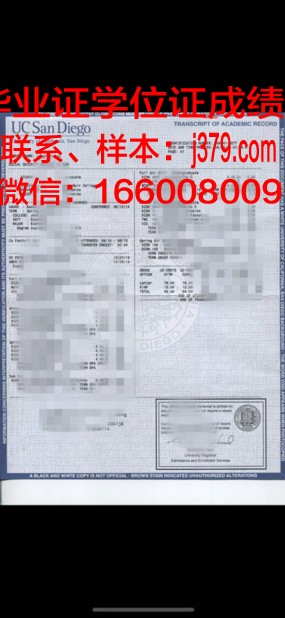 维索大学成绩单：一份跨越时空的学术见证
