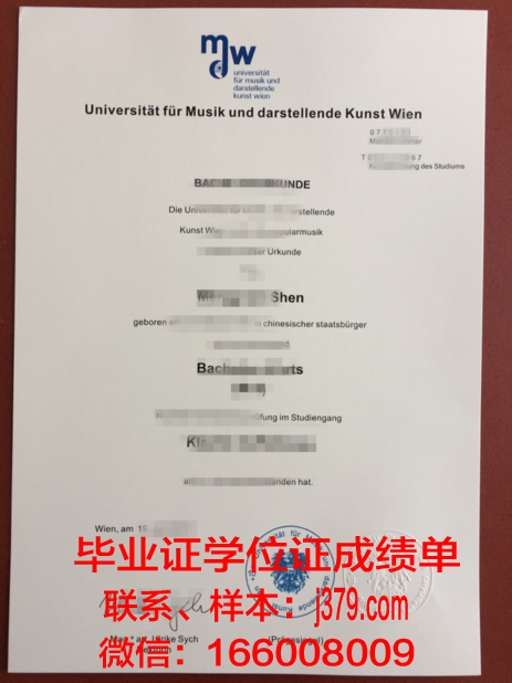 维也纳经济大学毕业证书：开启国际化职业大门的金钥匙