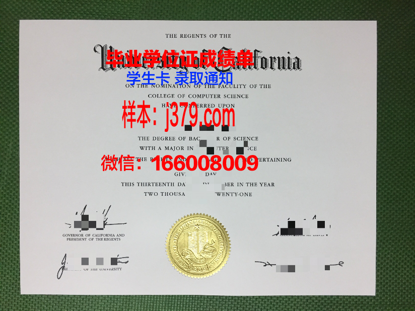 陶里亚蒂国立大学毕业证
