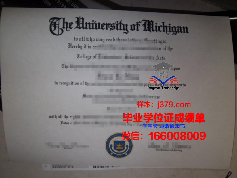 阿菲恩科塔特佩大学毕业证是什么模样
