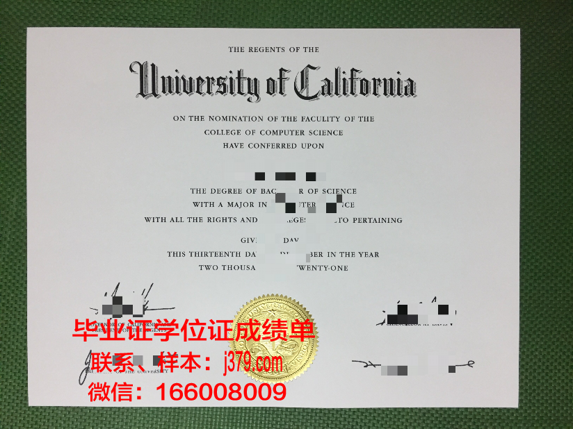 雅西国立艺术大学毕业证封面(雅西国立艺术大学毕业证封面图)