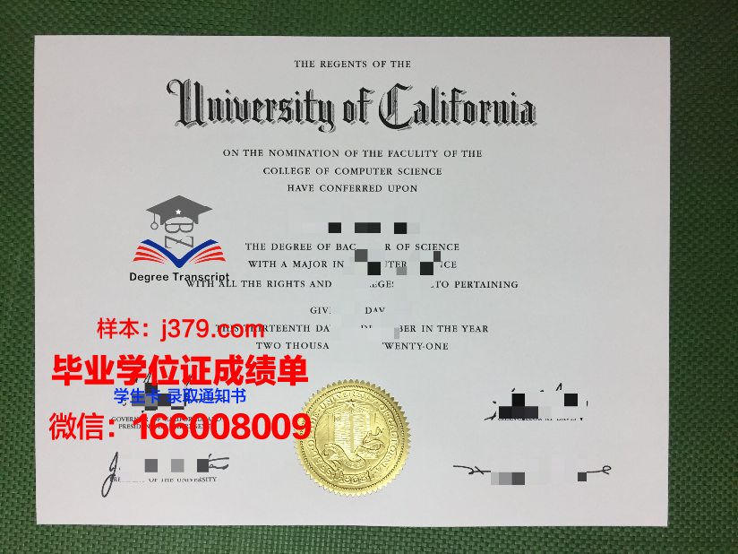 医大博士毕业证：知识与担当的象征