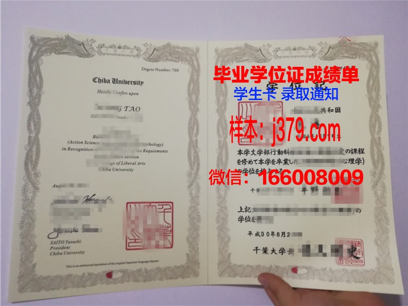 千叶大学毕业证书图片(千叶大学相当于国内什么学校)