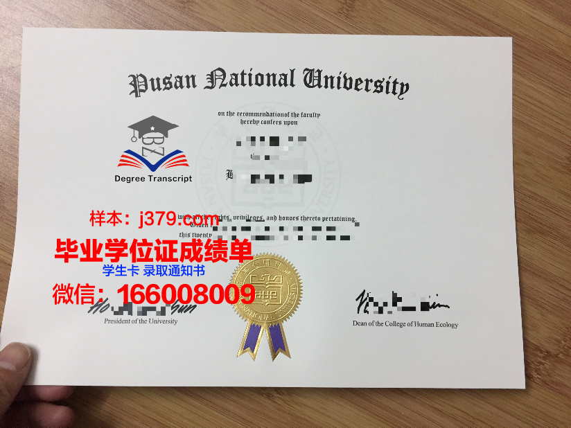 韩国庆星大学毕业证是什么模样(韩国釜山庆星大学怎样)