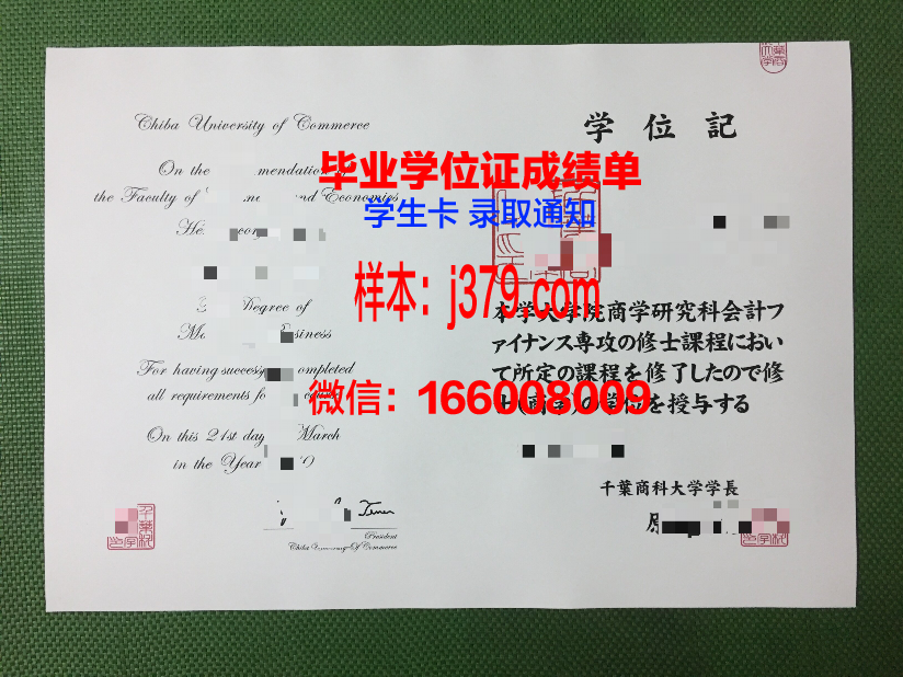 千叶大学毕业证书图片(千叶大学相当于国内什么学校)